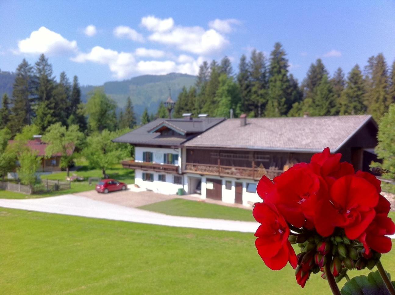 Pension Sunnbichl Hotel Going am Wilden Kaiser Exterior photo